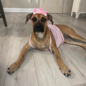 Meet your Posher, Kendall